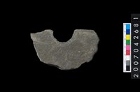 藏品(石環製作材料-中央帶啄孔打製圓板殘件)的圖片