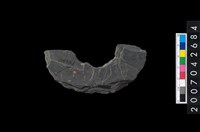 藏品(石環製作材料-中央帶啄孔打製圓板殘件)的圖片