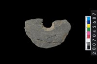 藏品(石環製作材料-中央帶啄孔打製圓板殘件)的圖片