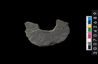 藏品(石環製作材料－中央帶啄孔打製圓板殘件)的圖片