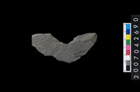 藏品(石環製作材料－中央帶啄孔打製圓板殘件)的圖片