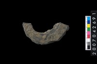 藏品(石環製作材料－中央帶啄孔打製圓板殘件)的圖片