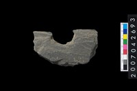 藏品(石環製作材料－中央帶啄孔打製圓板殘件)的圖片