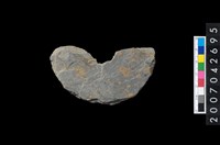 藏品(石環製作材料－中央帶小啄孔打製圓板殘件)的圖片