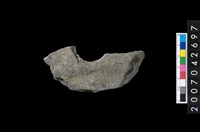 藏品(石環製作材料－中央帶小啄孔打製圓板殘件)的圖片