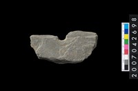 藏品(石環製作材料-中央帶小啄孔打製圓板殘件)的圖片