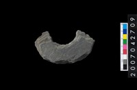 藏品(石環製作材料-中央帶啄孔打製圓板殘件)的圖片