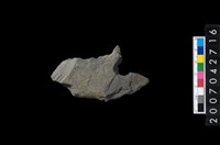 藏品(石環製作材料-中央帶啄孔打製圓板殘件)的圖片