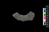 藏品(石環製作材料-中央帶啄孔打製圓板殘件)的圖片