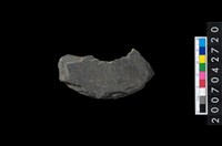 藏品(石環製作材料-中央帶啄孔打製圓板殘件)的圖片