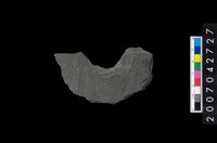 藏品(石環製作材料-中央帶啄孔打製圓板殘件)的圖片