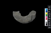 藏品(石環製作材料-中央帶啄孔打製圓板殘件)的圖片