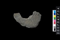 藏品(石環製作材料-中央帶啄孔打製圓板殘件)的圖片