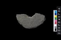 藏品(石環製作材料-中央帶小啄孔打製圓板殘件)的圖片