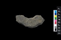 藏品(石環製作材料-中央帶啄孔打製圓板殘件)的圖片