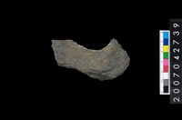 藏品(石環製作材料－中央帶啄孔打製圓板殘件)的圖片