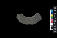 藏品(石環製作材料－中央帶啄孔打製圓板殘件)的圖片