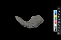 藏品(石環製作材料－中央帶啄孔打製圓板殘件)的圖片