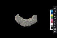 藏品(石環製作材料－中央帶啄孔打製圓板殘件)的圖片