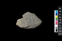 藏品(石環製作材料－中央帶啄孔打製圓板殘件)的圖片