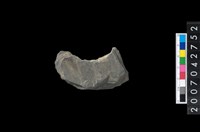 藏品(石環製作材料－中央帶啄孔打製圓板殘件)的圖片