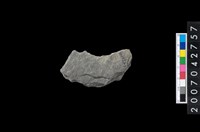 藏品(石環製作材料－中央帶啄孔打製圓板殘件)的圖片