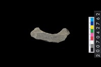 藏品(石環製作材料－中央帶啄孔打製圓板殘件)的圖片