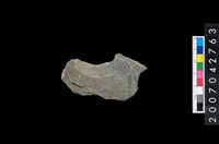 藏品(石環製作材料－中央帶啄孔打製圓板殘件)的圖片