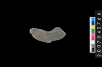 藏品(石環製作材料－中央帶啄孔打製圓板殘件)的圖片