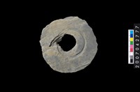 藏品(石環製作材料－中央帶啄孔與旋截痕打製圓板)的圖片