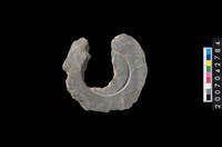 藏品(石環製作材料-中央帶啄孔與旋截痕打製圓板殘件)的圖片