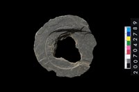 藏品(石環製作材料-中央帶啄孔與旋截痕打製圓板)的圖片