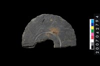 藏品(石環製作材料-中央帶啄孔與旋截痕打製圓板殘件)的圖片