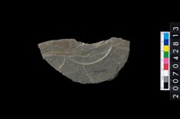 藏品(石環製作材料－中央帶啄孔與旋截痕打製圓板)的圖片