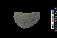 藏品(石環製作材料-中央帶旋截痕打製圓板殘件)的圖片