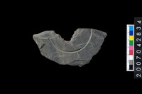 藏品(石環製作材料-中央帶啄孔與旋截痕打製圓板殘件)的圖片