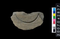 藏品(石環製作材料-中央帶啄孔與旋截痕打製圓板殘件)的圖片