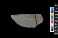 藏品(石環製作材料-中央帶旋截痕打製圓板殘件)的圖片