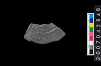 藏品(石環製作材料-中央帶啄孔與旋截痕打製圓板殘件)的圖片