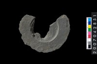 藏品(石環製作材料-中央帶啄孔與旋截痕打製圓板殘件)的圖片