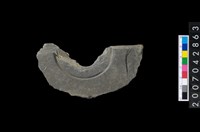 藏品(石環製作材料－中央帶啄孔與旋截痕打製圓板)的圖片