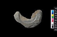 藏品(石環製作材料-中央帶啄孔與旋截痕打製圓板殘件)的圖片