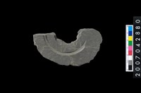 藏品(石環製作材料-中央帶啄孔與旋截痕打製圓板殘件)的圖片