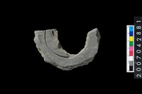 藏品(石環製作材料-中央帶啄孔與旋截痕打製圓板殘件)的圖片