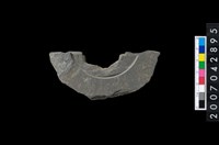 藏品(石環製作材料－中央帶啄孔與旋截痕打製圓板殘件)的圖片