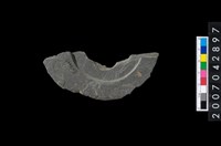 藏品(石環製作材料－中央帶啄孔與旋截痕打製圓板殘件)的圖片