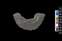 藏品(石環製作材料－中央帶啄孔與旋截痕打製圓板殘件)的圖片