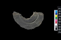 藏品(石環製作材料－中央帶啄孔與旋截痕打製圓板殘件)的圖片