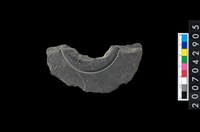 藏品(石環製作材料－中央帶啄孔與旋截痕打製圓板殘件)的圖片