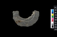 藏品(石環製作材料－中央帶啄孔與旋截痕打製圓板殘件)的圖片